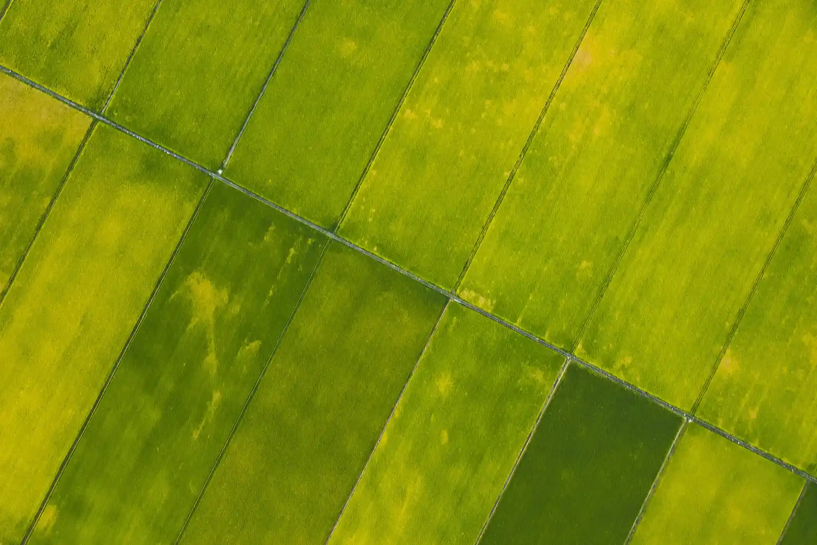 شروط شراء أرض زراعية في تركيا